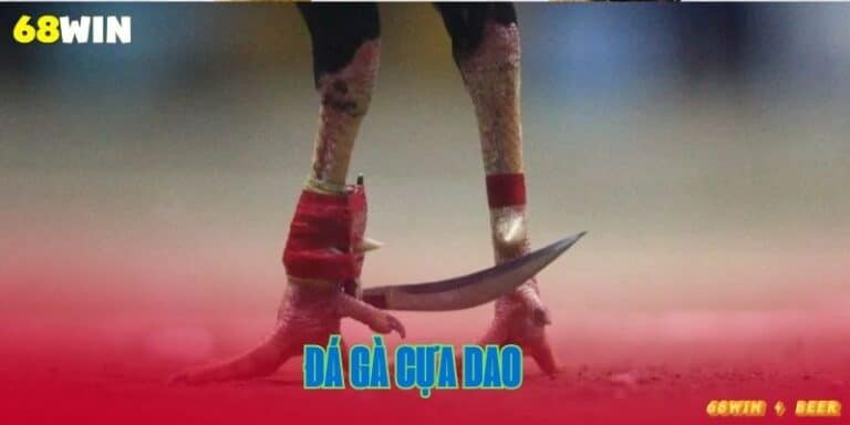 đá gà cựa dao tại 68win