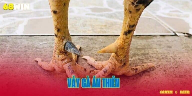vảy án thiên