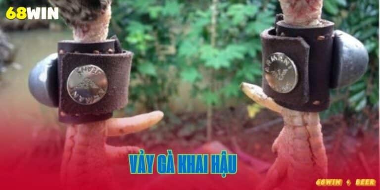 vảy gà khai hậu